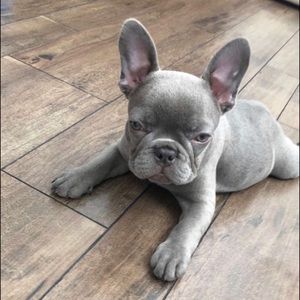 Meet your Posher, Wendy